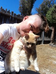 me_n__miss_cat_by_orange_zeppelin-d6phbno.jpg