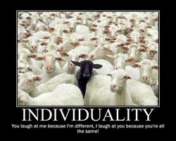 sheeple.jpg