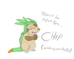 chip.png