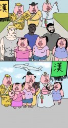 tachibanabuta.jpg