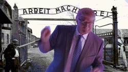 Trump.gif