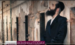 transrabbi2.png