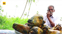 10 Goat Head s Recipe   Traditional Lamb Head curry   Easy Goat Head curry by Grandpa Kitchen ...png