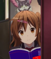 1555803696753.jpg