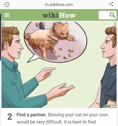 Screenshot_20191123-081932_Firefox.jpg