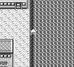 Wild pokemon.gif