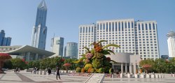 IMG20191119130257.jpg