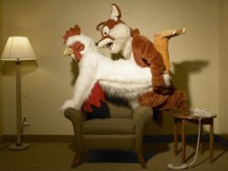 furry-sex.jpg