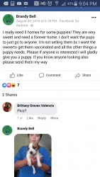 Screenshot_2019-12-02-21-04-11.png