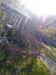 newhouse2.jpeg