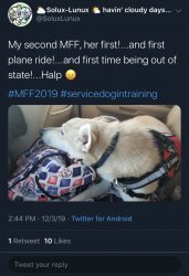 BD9E1120-155C-425B-9BB1-CC90C9FEC82D.jpeg