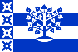 800px-Haaren_vlag.svg.png