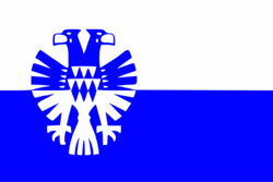 VlagArnhem.svg.png