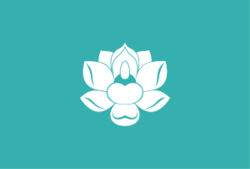 300px-Flag_of_the_Sinŭiju_Special_Administrative_Region.svg.png