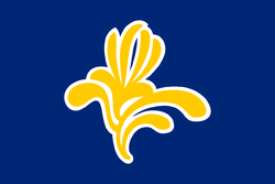 1280px-Flag_Belgium_brussels.svg.png