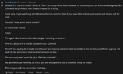 firefox_2019-12-10_17-17-25.png