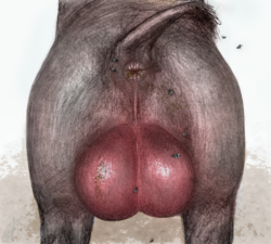 4EFC053A-BF37-4013-B922-51C379F4F701.png