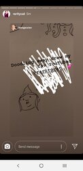 Screenshot_20191211-171509_Instagram.jpg