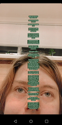 Screenshot_2019-12-11-21-55-50.png