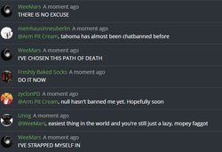 nlul 17.png