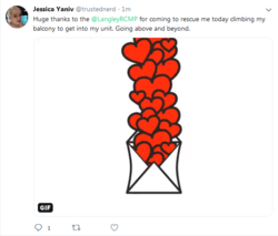 Screenshot_2019-12-17 Jessica Yaniv ( trustednerd) Twitter.png