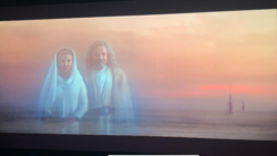 55868992-5AB4-4FC7-A91F-7FC353D1A199.png