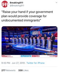 democrats and illegals.jpg