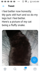 Screenshot_20191220-084349.png