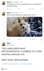 Kivan on Twitter THE LANDLORDS HAVE ENTHUSIASTICALLY AGREED TO A DOG (and they want pics lol!)...png