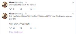 highonthehog.png