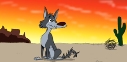 desertwolf (2).png