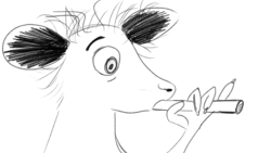 vape.png