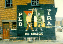IRA.jpg