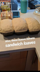 A17A42DF-E9C5-4C1D-8D26-77ED01750E3B.jpeg