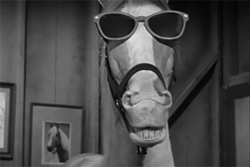 0qVP2-1469827818-5172-list_items-ed_shades.png