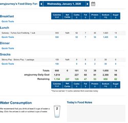 screencapture-myfitnesspal-food-diary-amyjourney-2020-01-03-12_16_45.jpg
