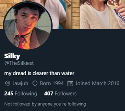 silky2.png