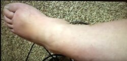TROTTERS.JPG