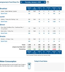 screencapture-myfitnesspal-food-diary-amyjourney-2020-01-04-13_25_50.jpg