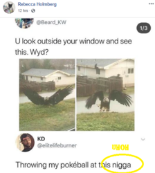 shoud6.png