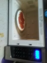 0104201141.jpg