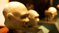 Neanderthal Mold.jpg