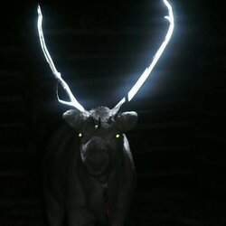 reindeer202way_sq-f7de58e1899124237b34a178a97de9b8eab47c99-s800-c85.jpg