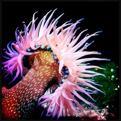 download (73).jpg