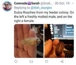 Screenshot_20200120-002610_Twitter.jpg