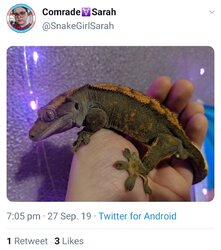 Screenshot_20200120-002740_Twitter.jpg