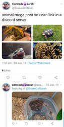 Screenshot_20200120-002914_Twitter.jpg