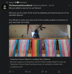 lockedtwitter34_alpaca.png