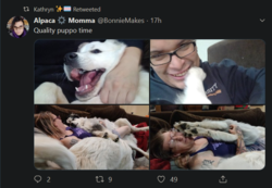 lockedtwitter37_white_things_fuck_dogs.png