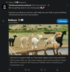 lockedtwitter46_alpaca.png